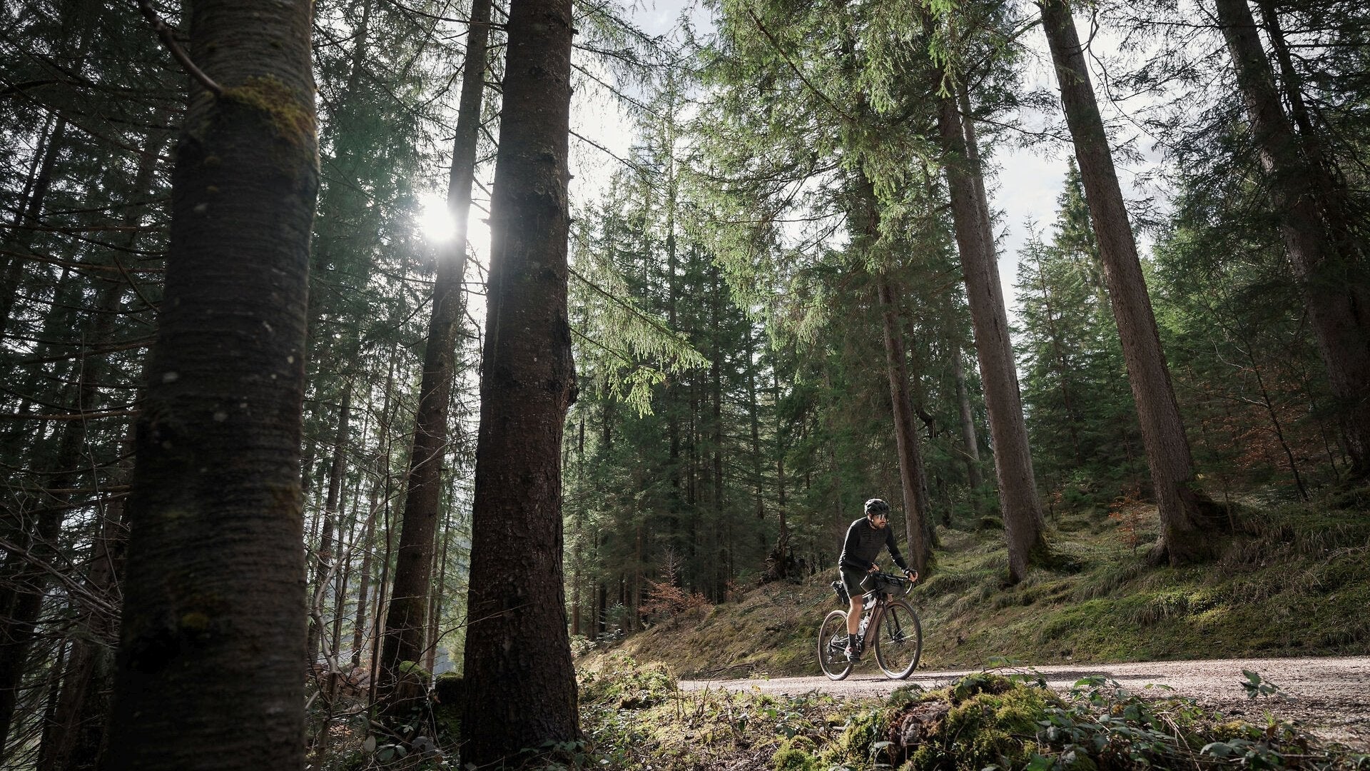 Westen und Windbreaker beim Gravel-Fahren – Radfahrer im Wald auf Schotterweg