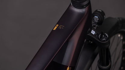 Produktbild: Cube Kathmandu Hybrid Comfort SLX 800 solareclipse´n´gold, Detailaufnahme 01