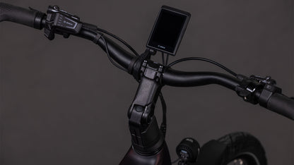 Produktbild: Cube Kathmandu Hybrid Comfort SLX 800 solareclipse´n´gold, Detailaufnahme 02