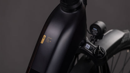 Produktbild: Cube Kathmandu Hybrid Comfort SLX 800 solareclipse´n´gold, Detailaufnahme 01
