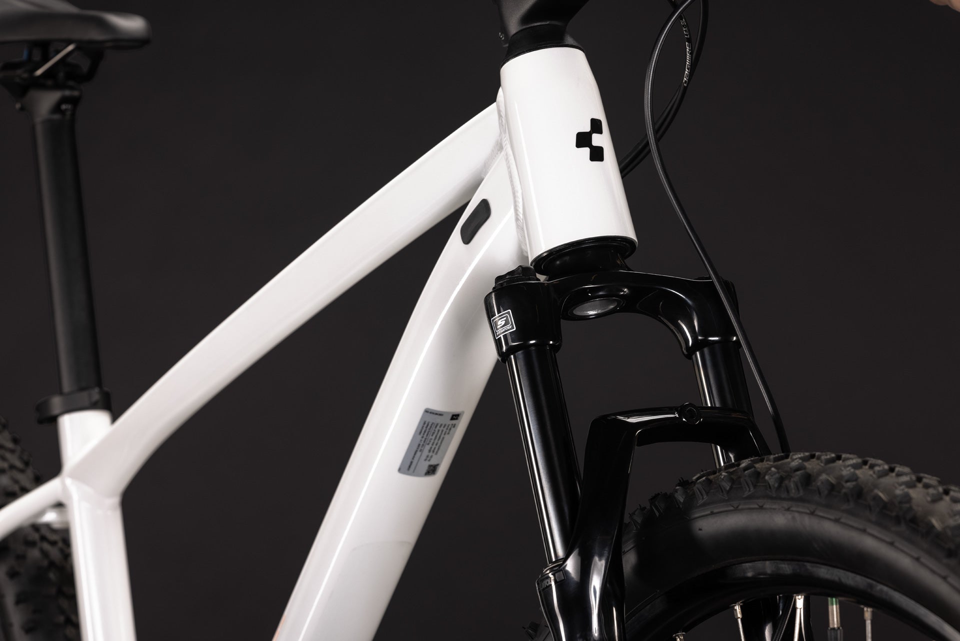 CUBE Aim ONE Mountainbike Hardtail 2027, Laufrad und Reifen