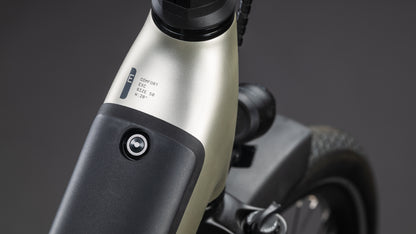 Produktbild: Cube Supreme RT Hybrid Comfort EXC 600 champagne´n´grey, Detailaufnahme 01