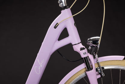 CUBE Aruba Easy Entry Cityrad 2027, Cockpit und Lenker