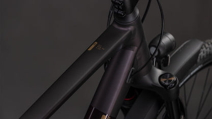 Produktbild: Cube Kathmandu SLX solareclipse´n´gold, Detailaufnahme 01