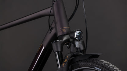 Produktbild: Cube Kathmandu SLX solareclipse´n´gold, Detailaufnahme 05