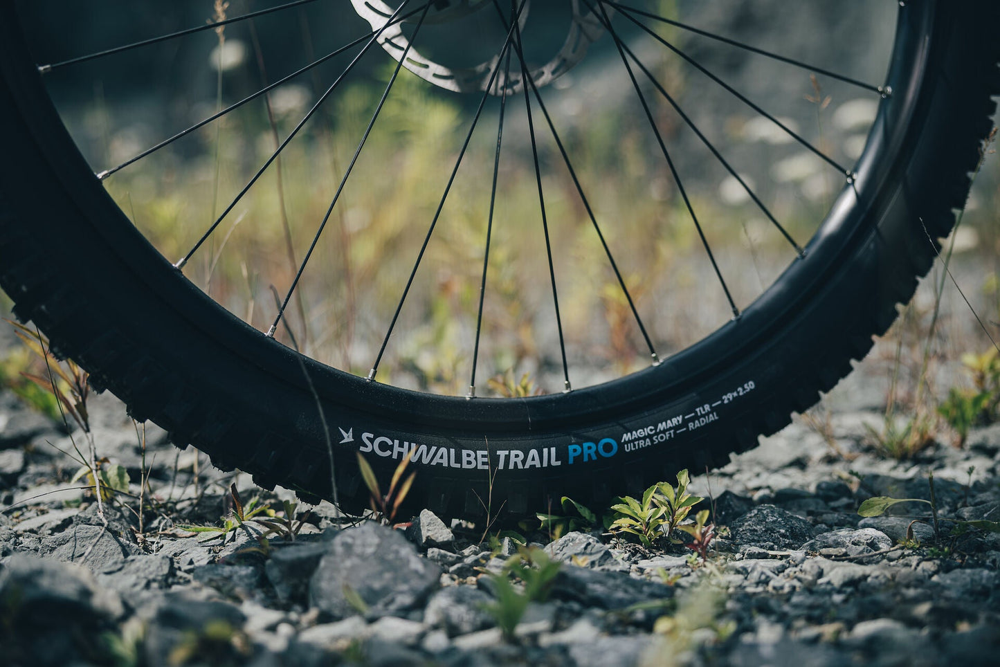 Cube FRITZZ C:62 TM hintofmint´n´grey 2027 – Mountainbike Fully – Detailansicht 1