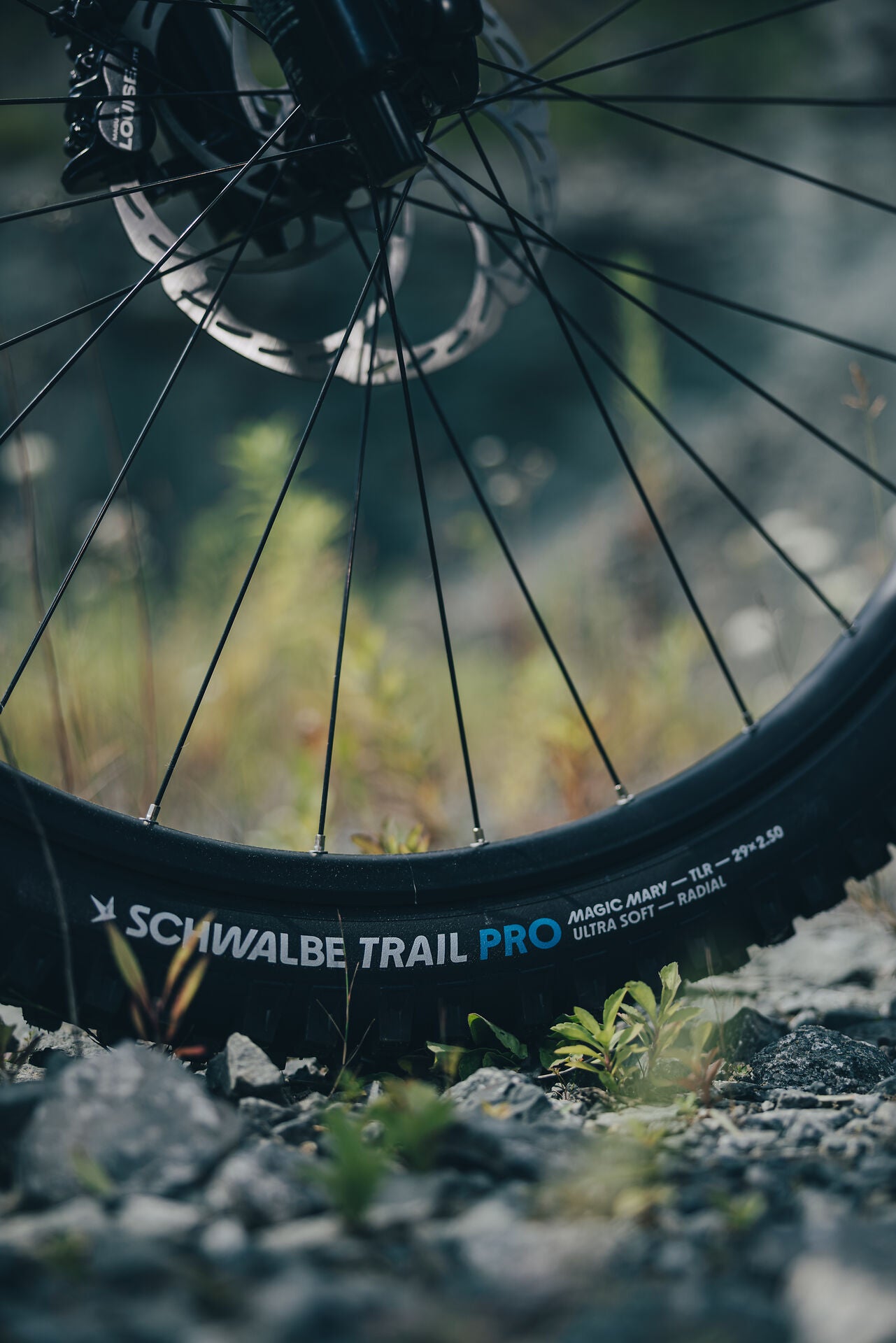 Cube FRITZZ C:62 TM hintofmint´n´grey 2027 – Mountainbike Fully – Detailansicht 2