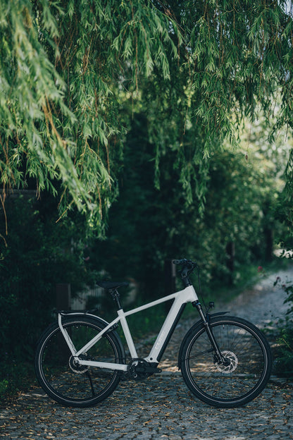 Cube Kathmandu Hybrid Deluxe Pro 800 metallicwhite´n´chrome 2027 – E-Trekkingrad – Seitenansicht 2