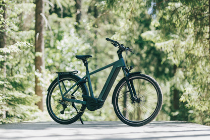Cube Kathmandu Hybrid Pro 800 smaragdgrey´n´black 2027 – E-Trekkingrad – Seitenansicht 1