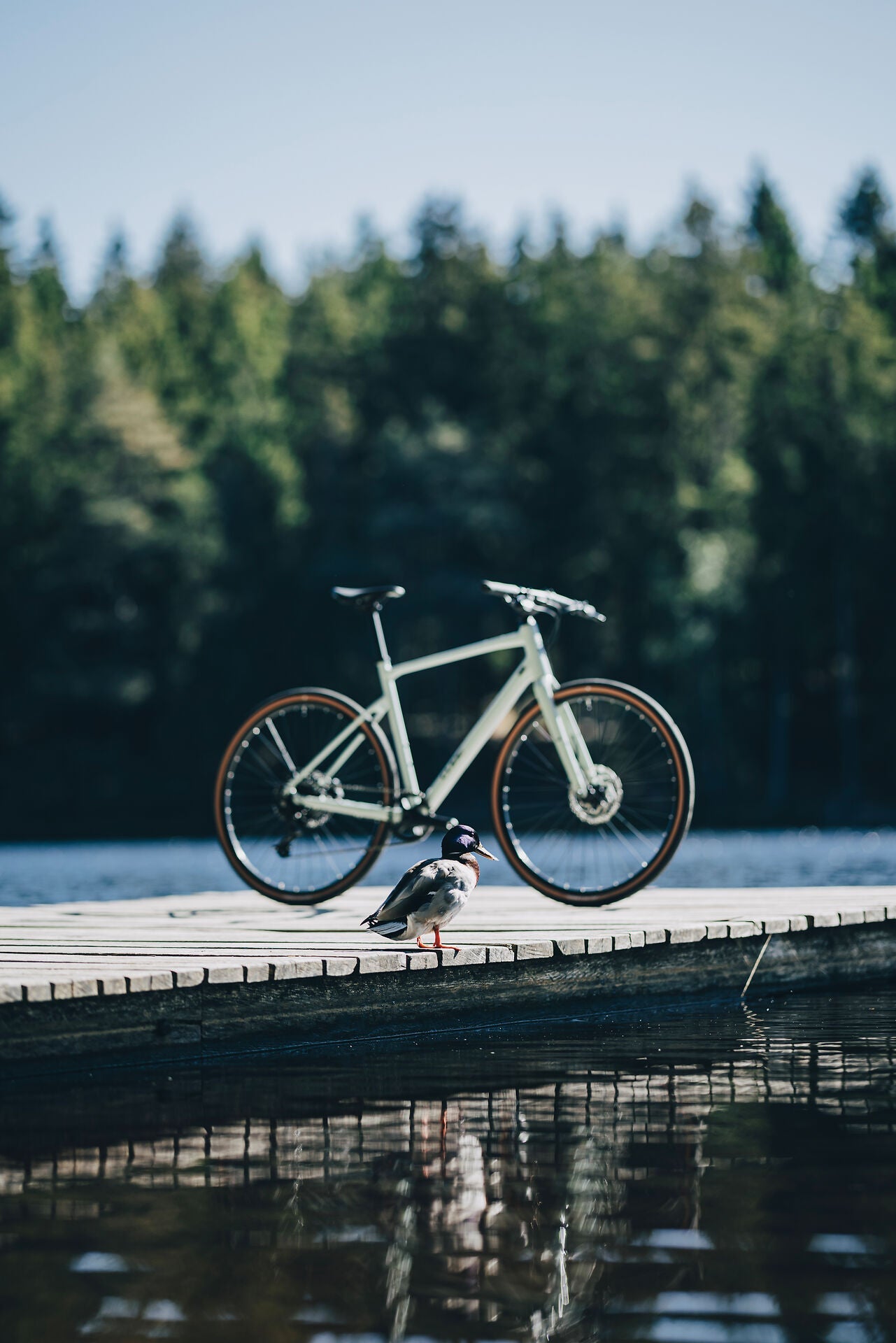 Cube Nulane Pro aloegreen´n´black 2027 – Fitnessbike – Seitenansicht 1
