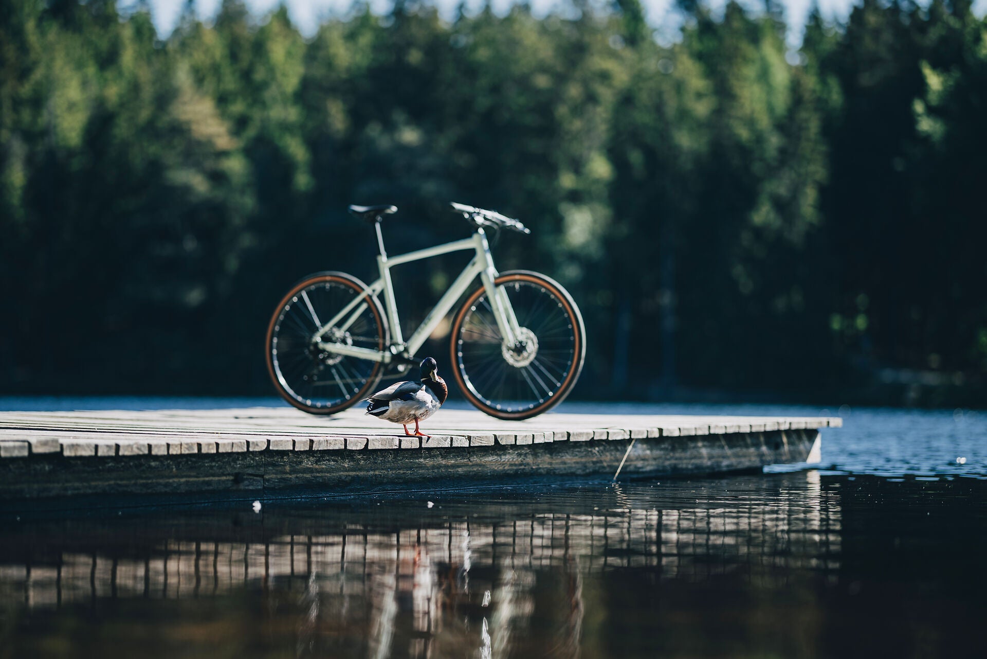 Cube Nulane Pro aloegreen´n´black 2027 – Fitnessbike – Seitenansicht 2