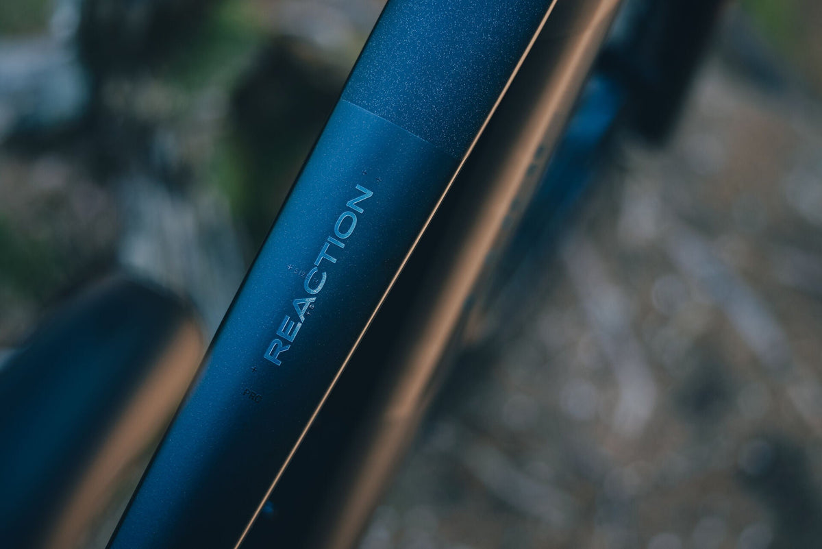 Cube Reaction Hybrid Pro 800 silverdust´n´prism 2027 – E-Mountainbike Hardtail – Detailansicht 5