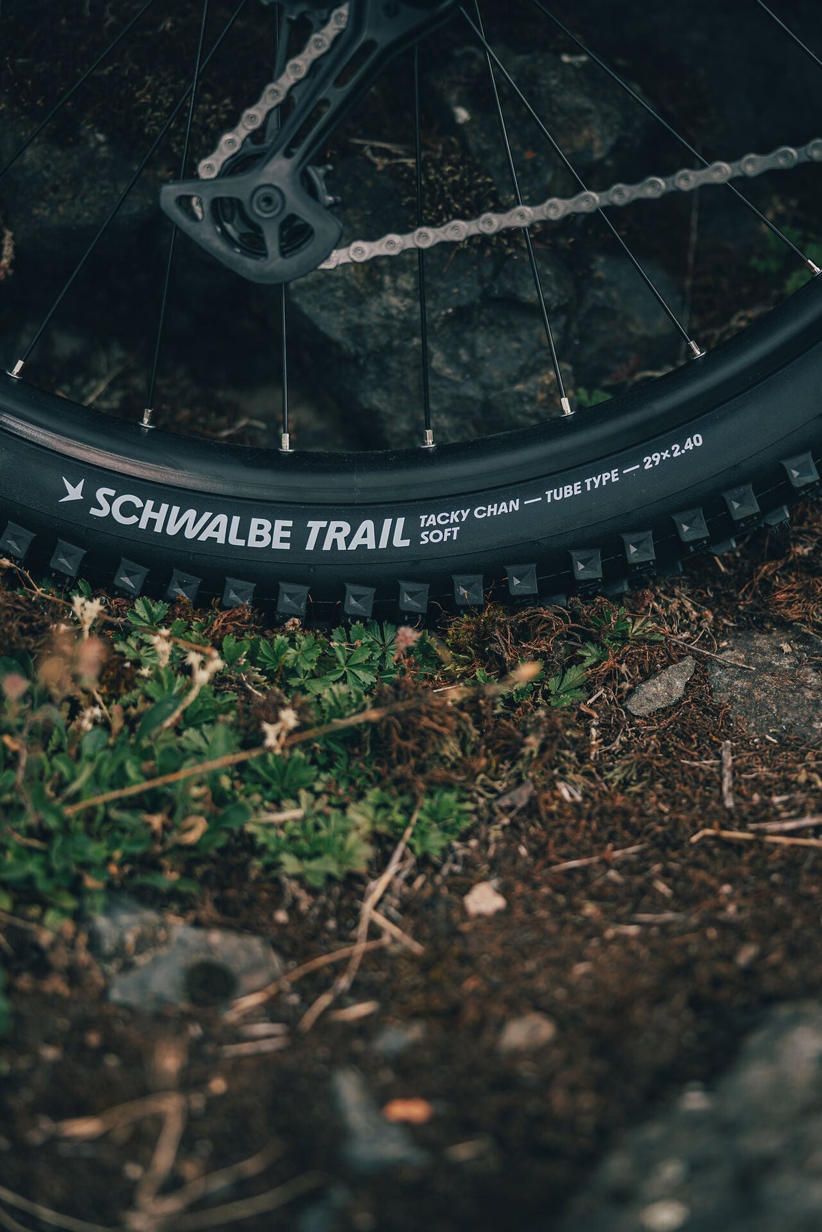 Cube Reaction TM ONE kolibri´n´black 2027 – Mountainbike Hardtail – Detailansicht 2