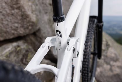 Cube TWO15 Race powdergold´n´black 2027 – Mountainbike Fully – Detailansicht 4