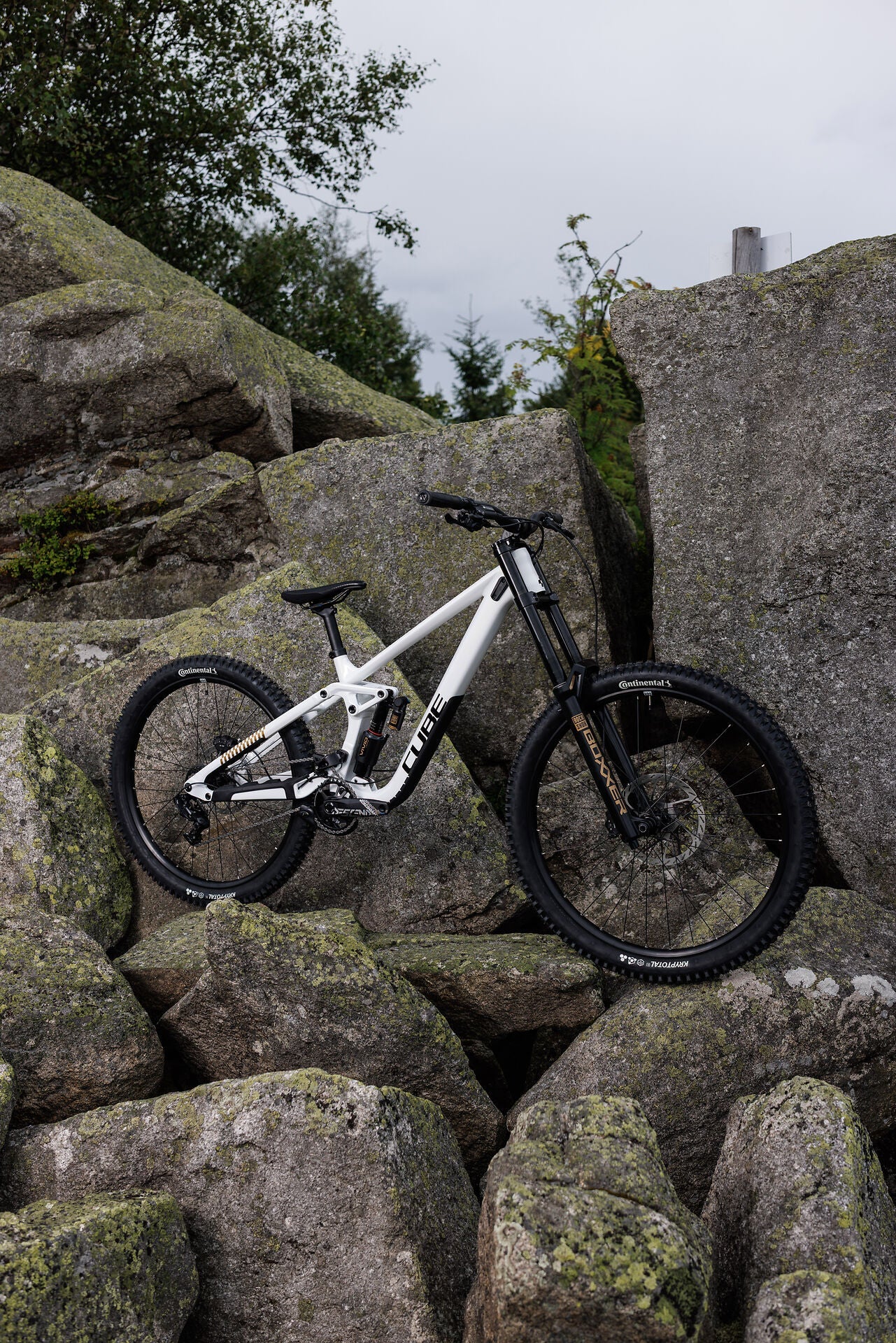 Cube TWO15 Race powdergold´n´black 2027 – Mountainbike Fully – Seitenansicht 3